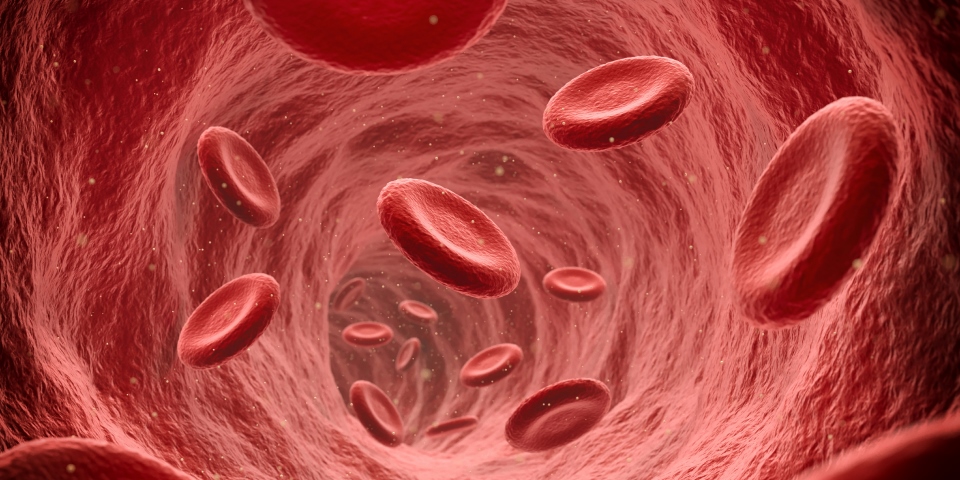 Células sanguíneas com Hemofilia Adquirida