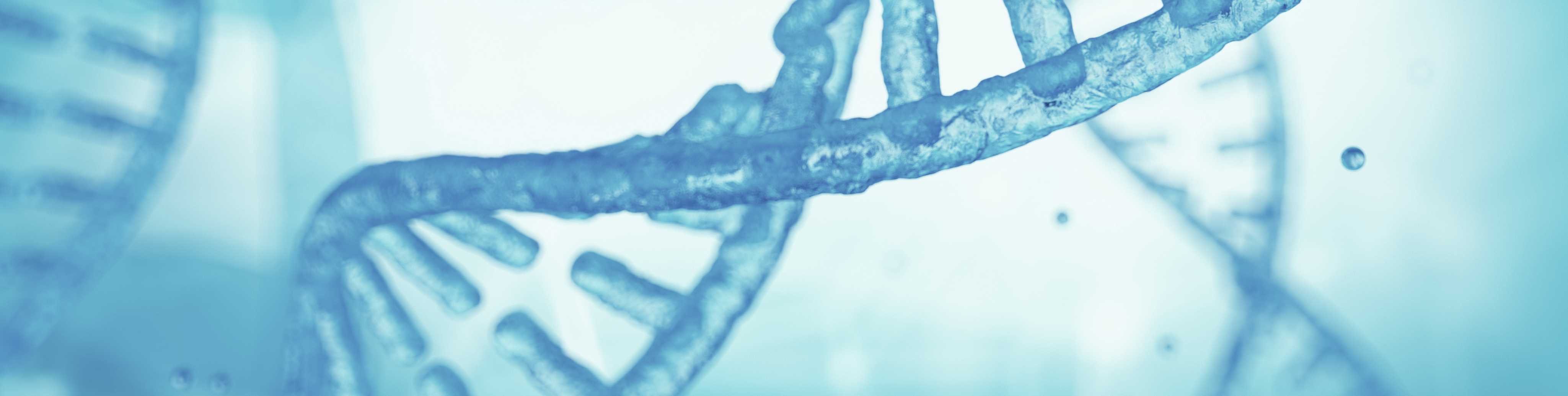 Desenho da estrutura do DNA