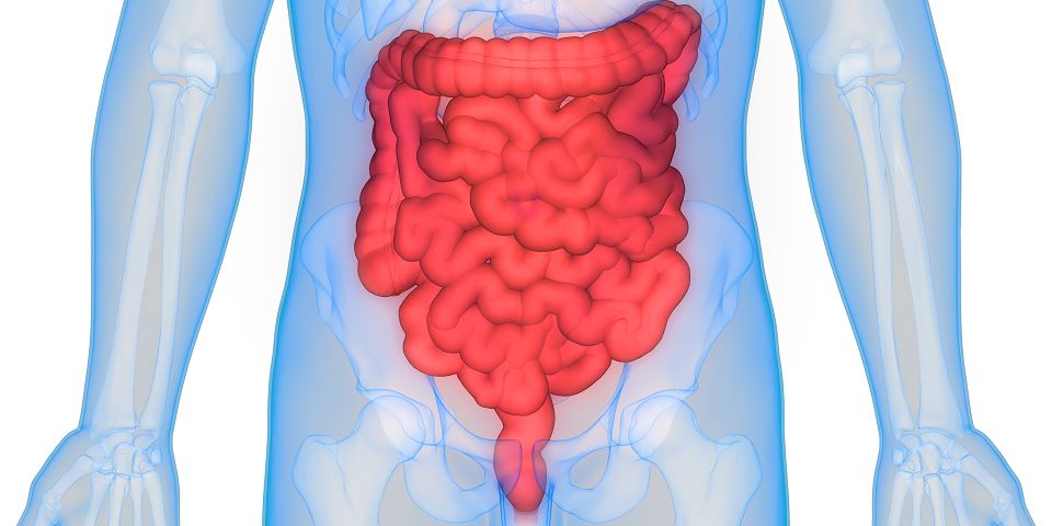 Paciente com Intestino sendo destacado