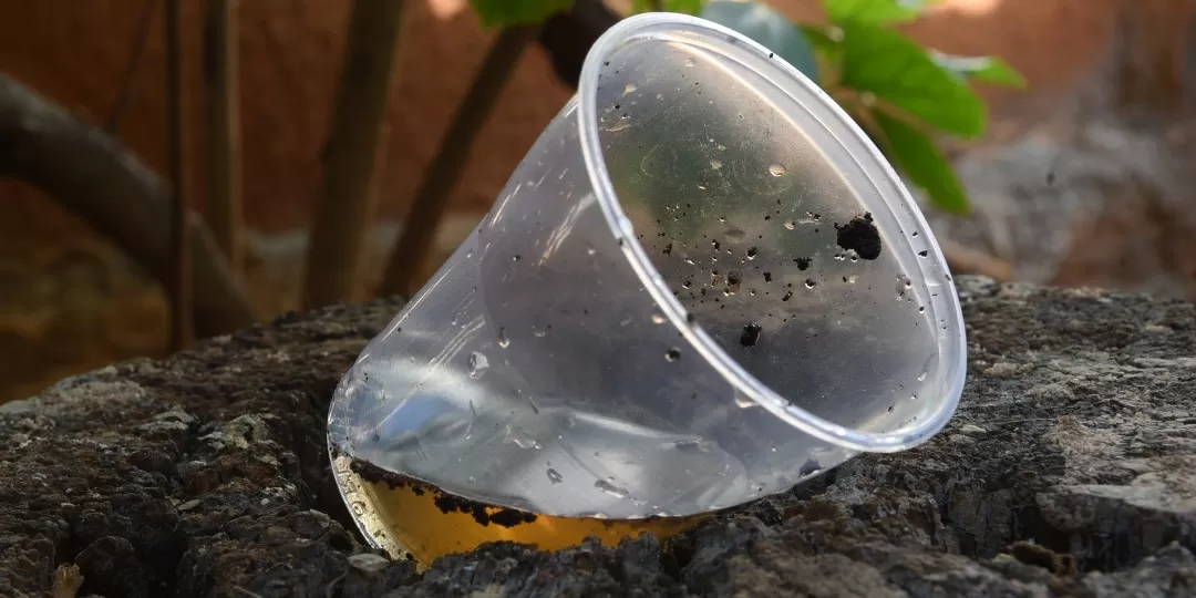 Vaso de terra com um copo descartável com água parada