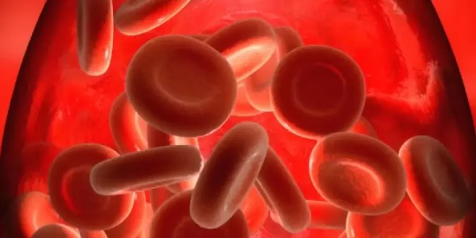 Células sanguíneas de uma pessoa com hemofilia