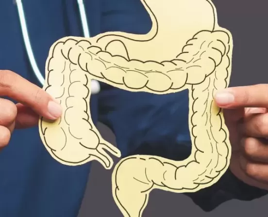 Desenho de intestino
