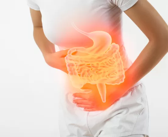 Desenho de Intestino