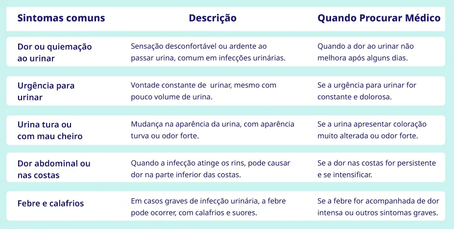 quadro resumo dor nas costas e infecção urinária